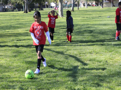 action photo